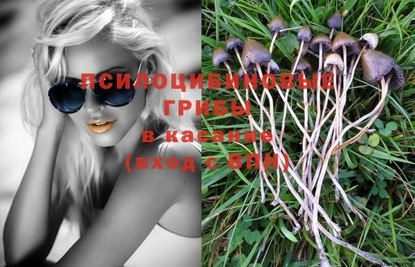 герыч Козловка