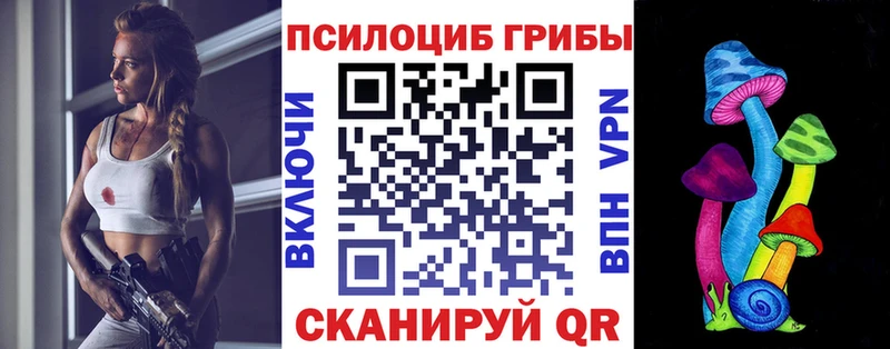 Купить  Киров  Галлюциногенные грибы Magic Shrooms 