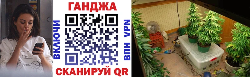 Купить где  Киров  МАРИХУАНА сатива 